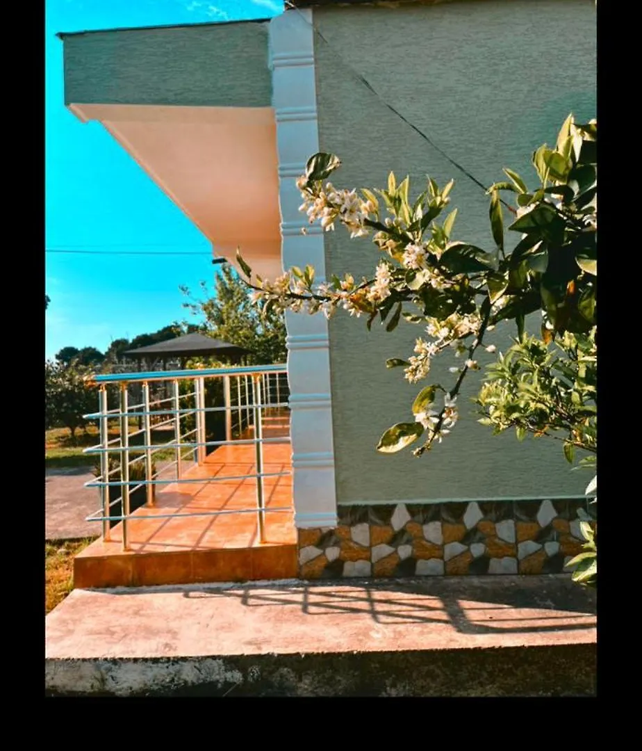 Olive Home Δυρράχιο Σπίτι διακοπών